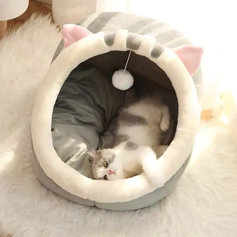 Ultimate Comfort for Your Feline Friend