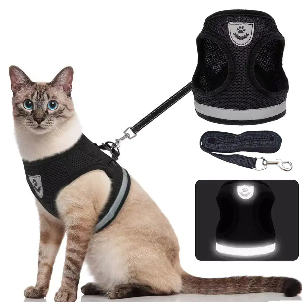 CozyCat Pet Harness And Leash