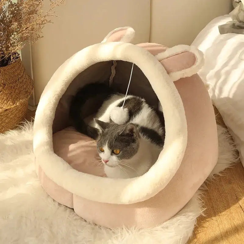 Ultimate Comfort for Your Feline Friend